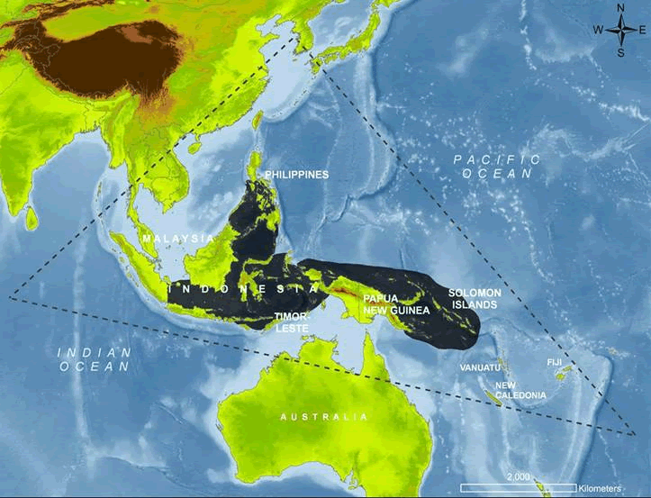 A diagramatic map of the Coral Triangle.