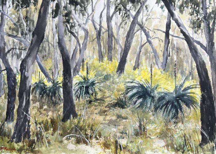 Pat McKenzie - watercolour- Xanthoreah