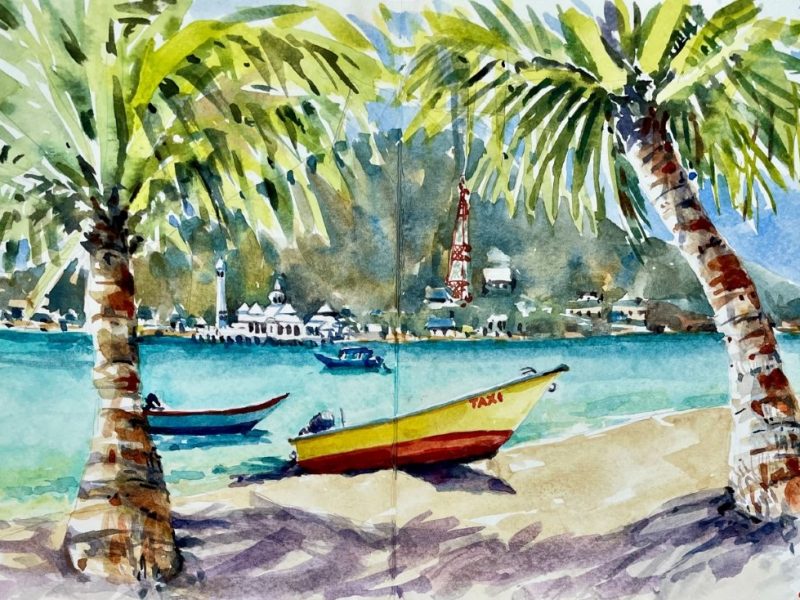 Judy Salleh tropical beach