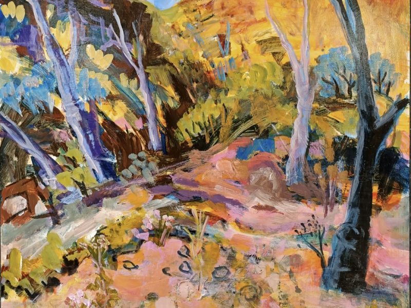 Judy Jelsma woods