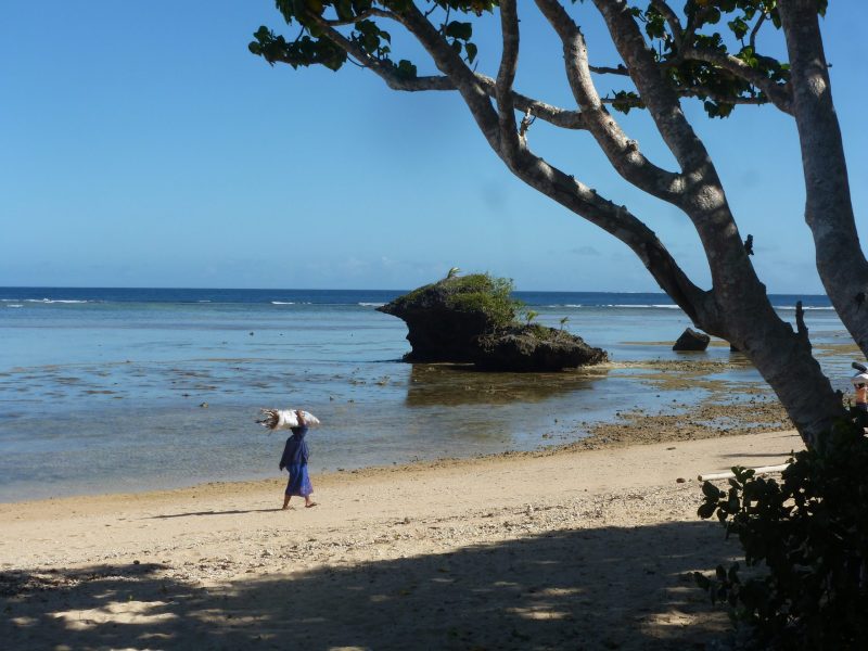 Bulikula 2 Savusavu Bulikula 2 Savusavu